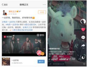 新瓜最新爆料资源视频,资源视频揭秘幕后真相  第2张