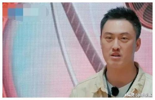 吃瓜博主娱乐圈是谁啊,揭秘“吃瓜博主娱乐圈”背后的神秘力量  第2张